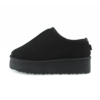 Paddock Cookies - Zueco Dama
