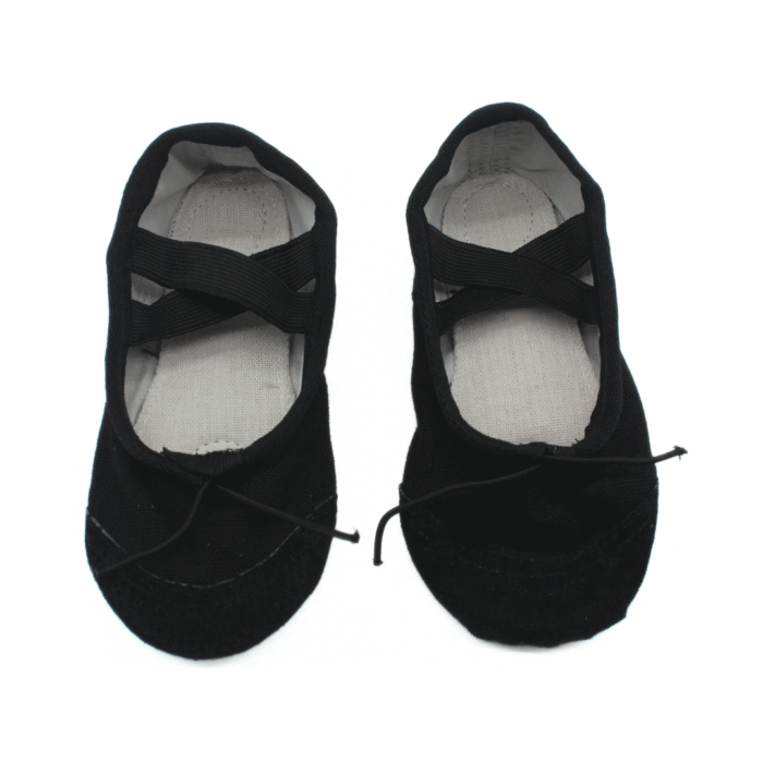Le Groupe – Zapatilla Ballet - Imagen 1