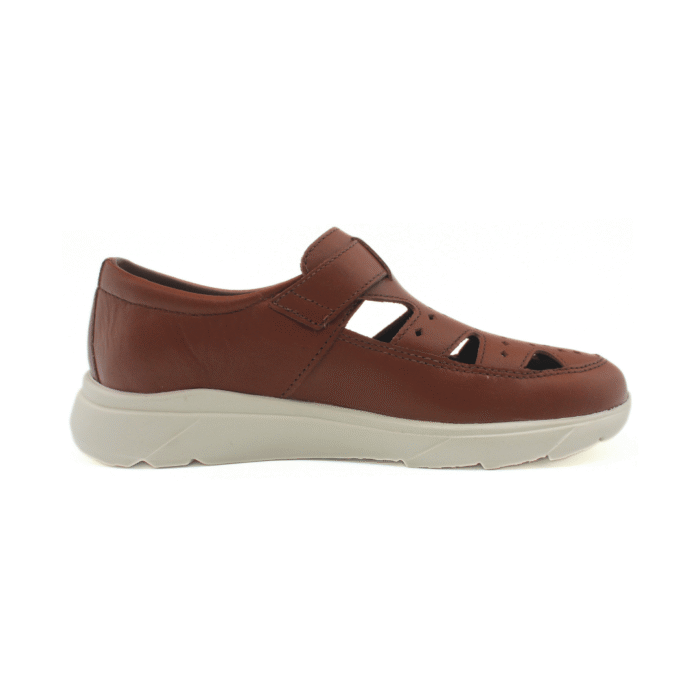 Freeway Sensi - Zapato Dama - Imagen 3