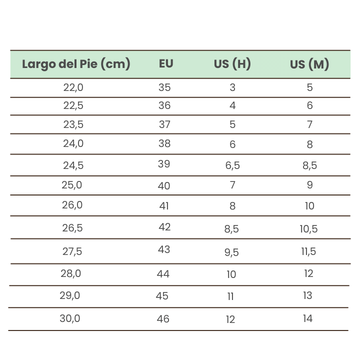 Talles Converse Unisex