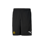 Puma TeamRISE Training - Short Hombre