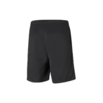 Puma TeamRISE Training - Short Hombre - Imagen 2